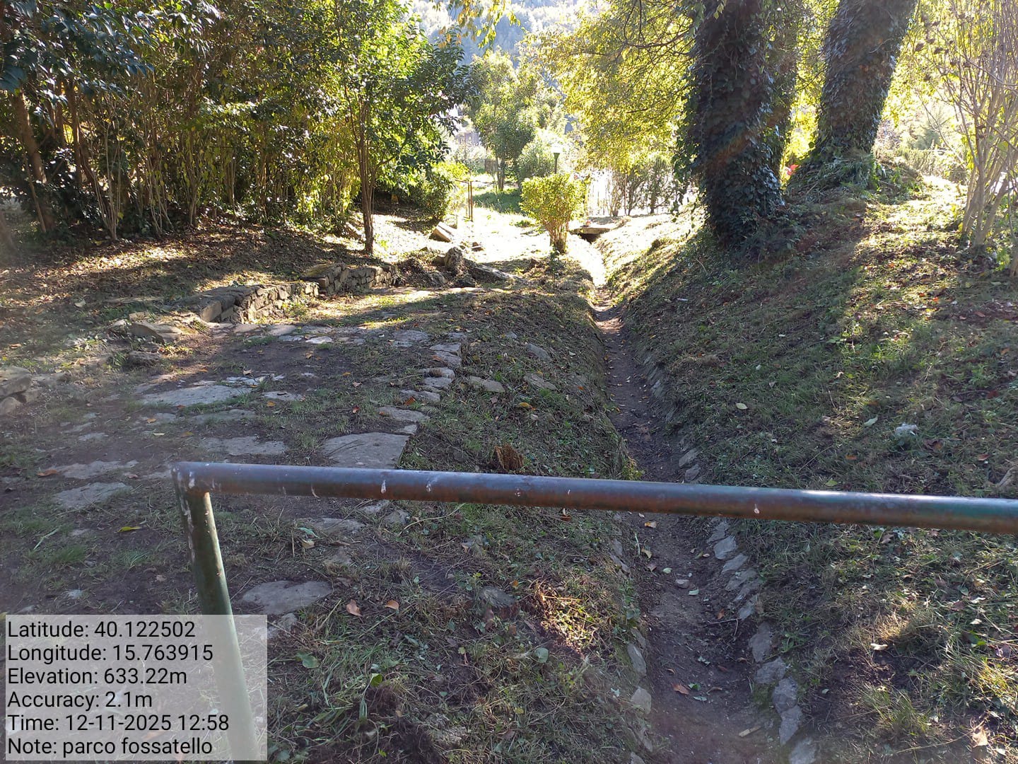 Galleria Fotografica Immagine