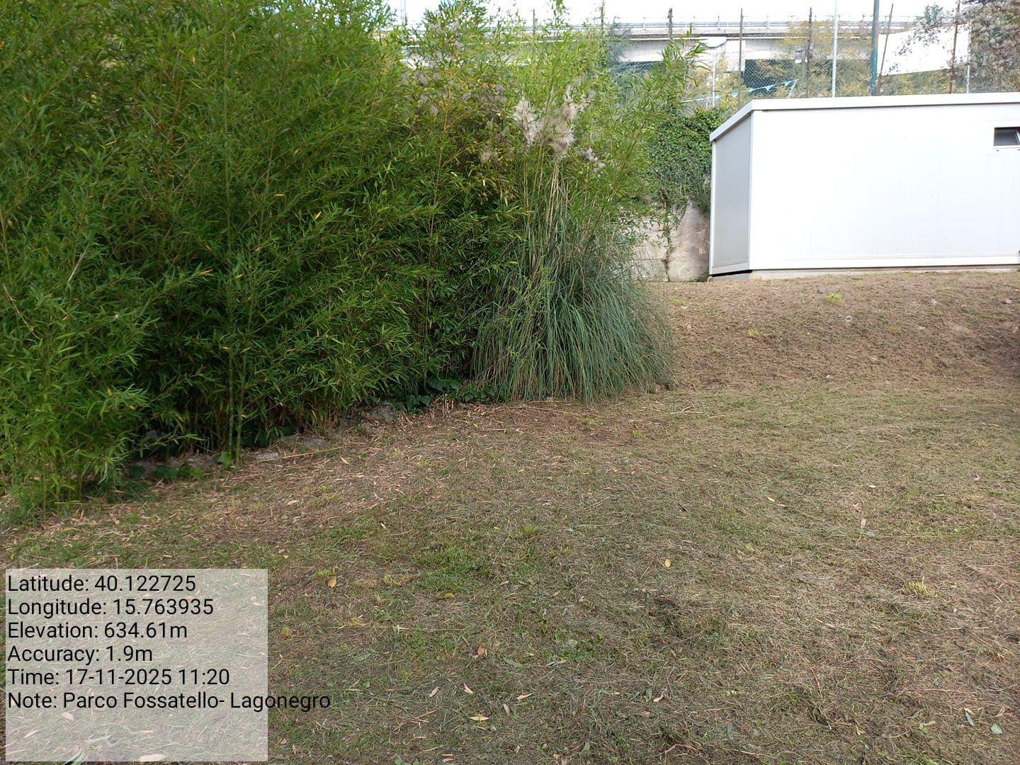 Galleria Fotografica Immagine