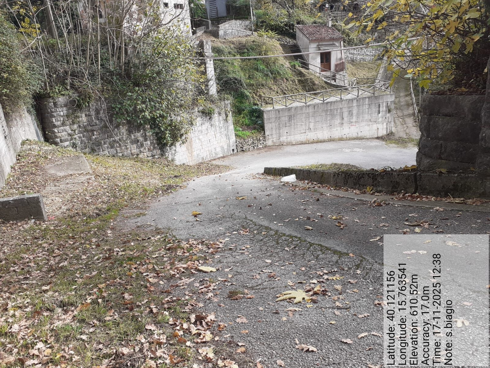 Galleria Fotografica Immagine