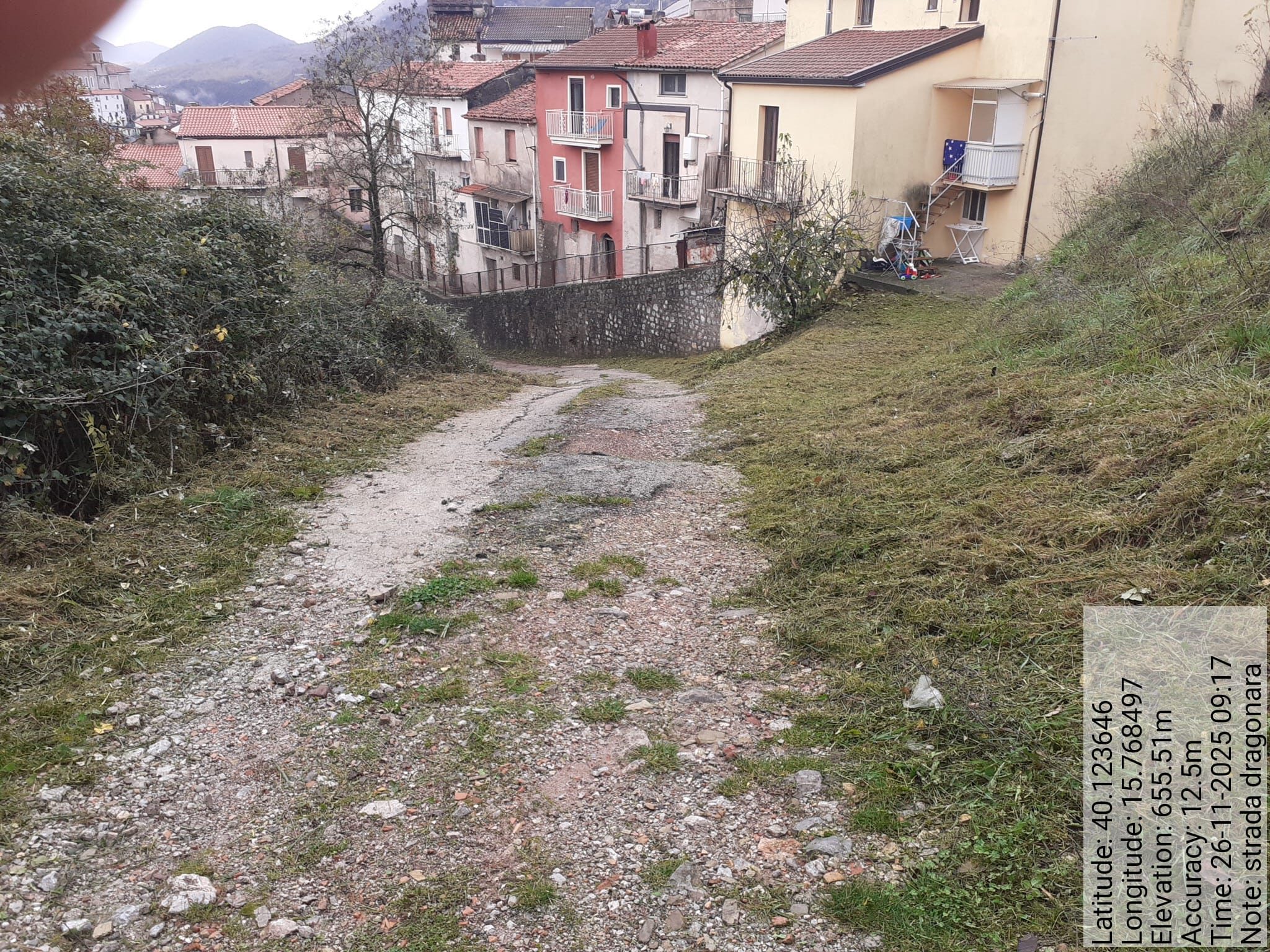 Galleria Fotografica Immagine