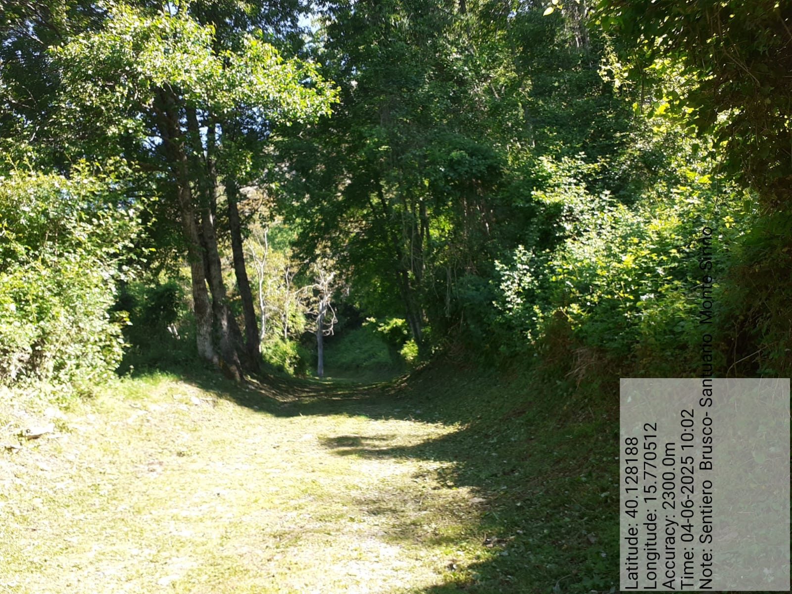 Galleria Fotografica Immagine