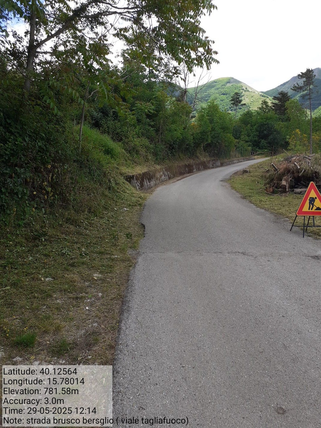 Galleria Fotografica Immagine