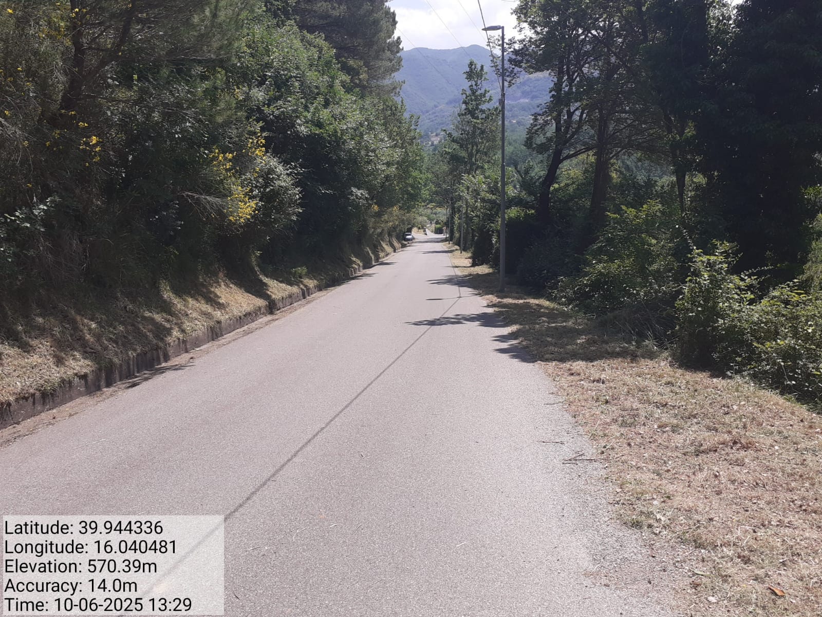 Galleria Fotografica Immagine