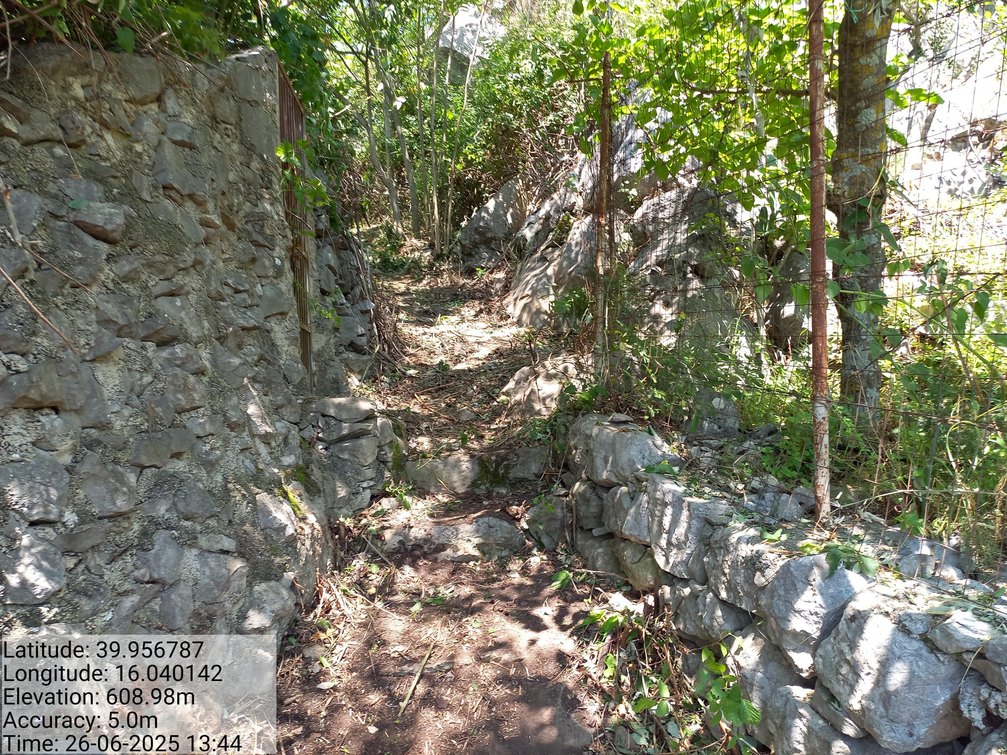 Galleria Fotografica Immagine