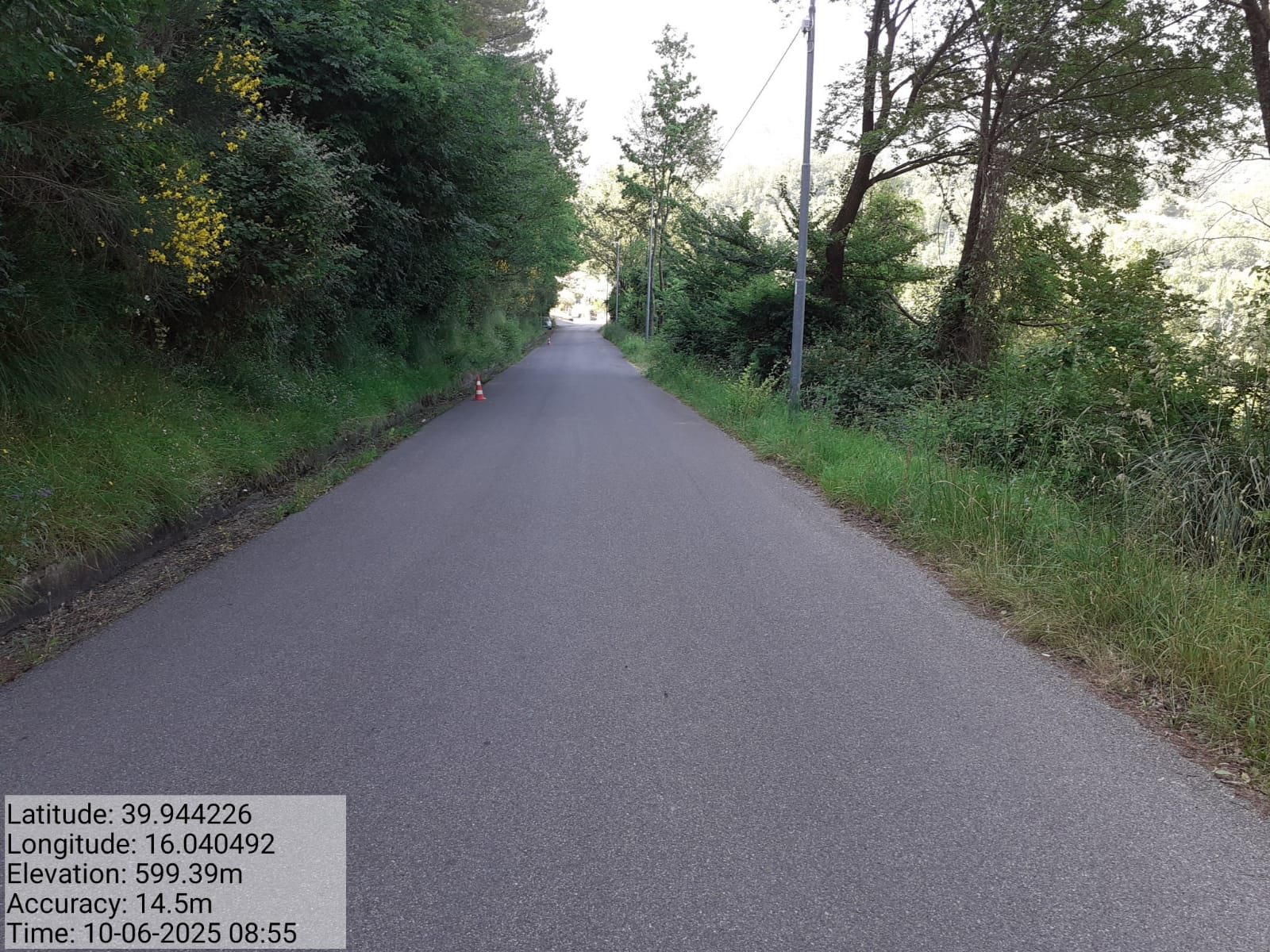 Galleria Fotografica Immagine