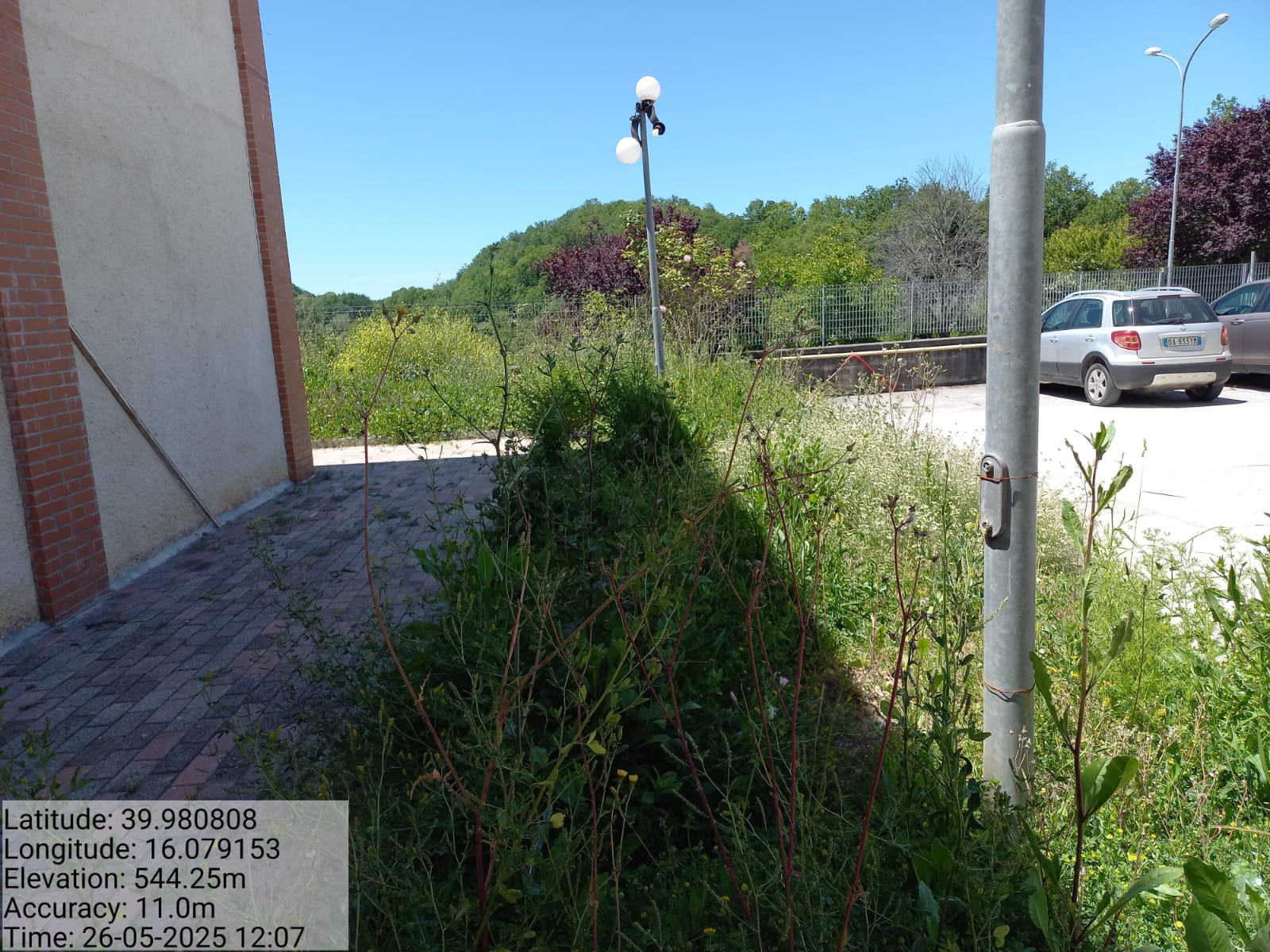 Galleria Fotografica Immagine