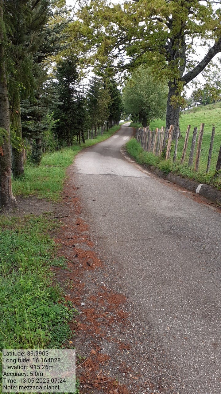 Galleria Fotografica Immagine