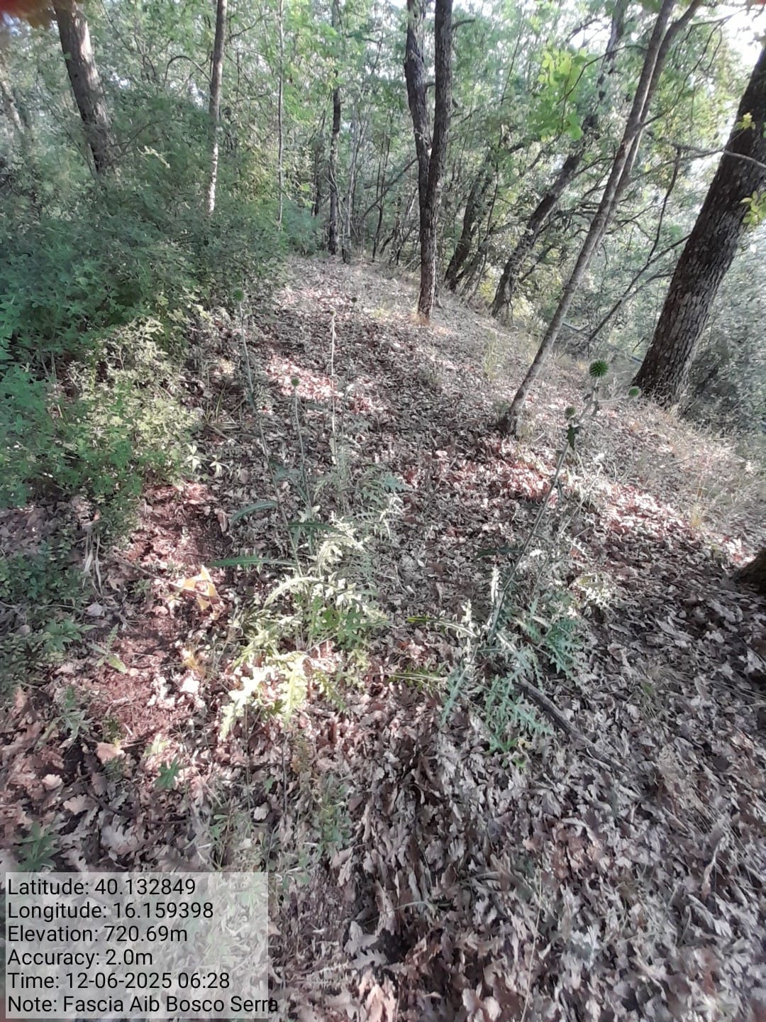 Galleria Fotografica Immagine