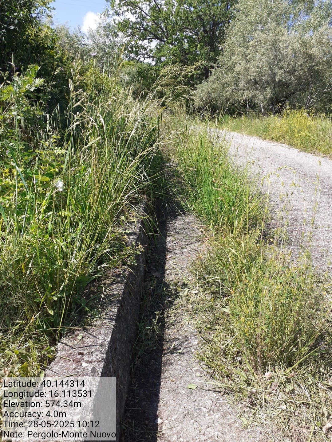 Galleria Fotografica Immagine