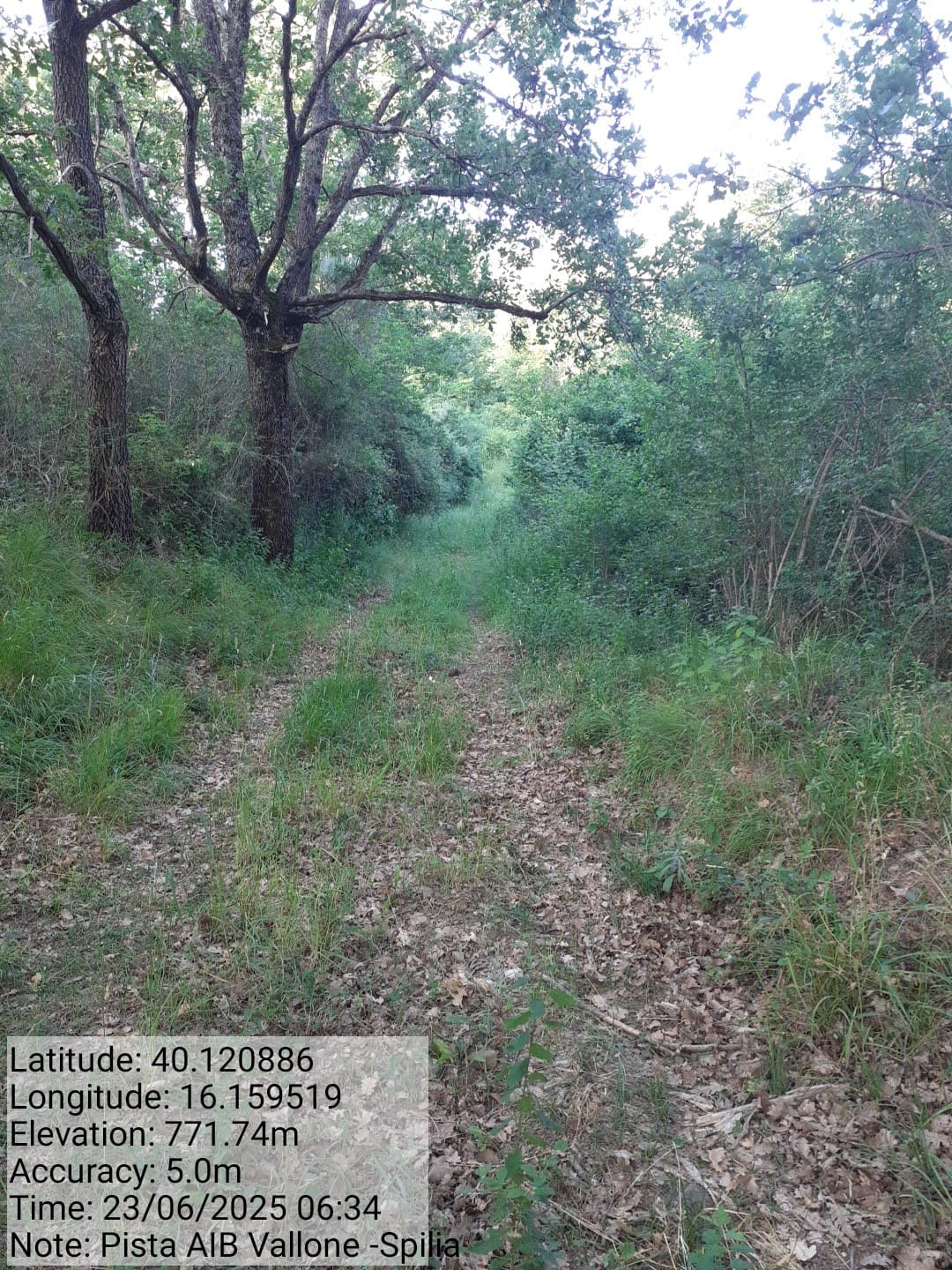 Galleria Fotografica Immagine