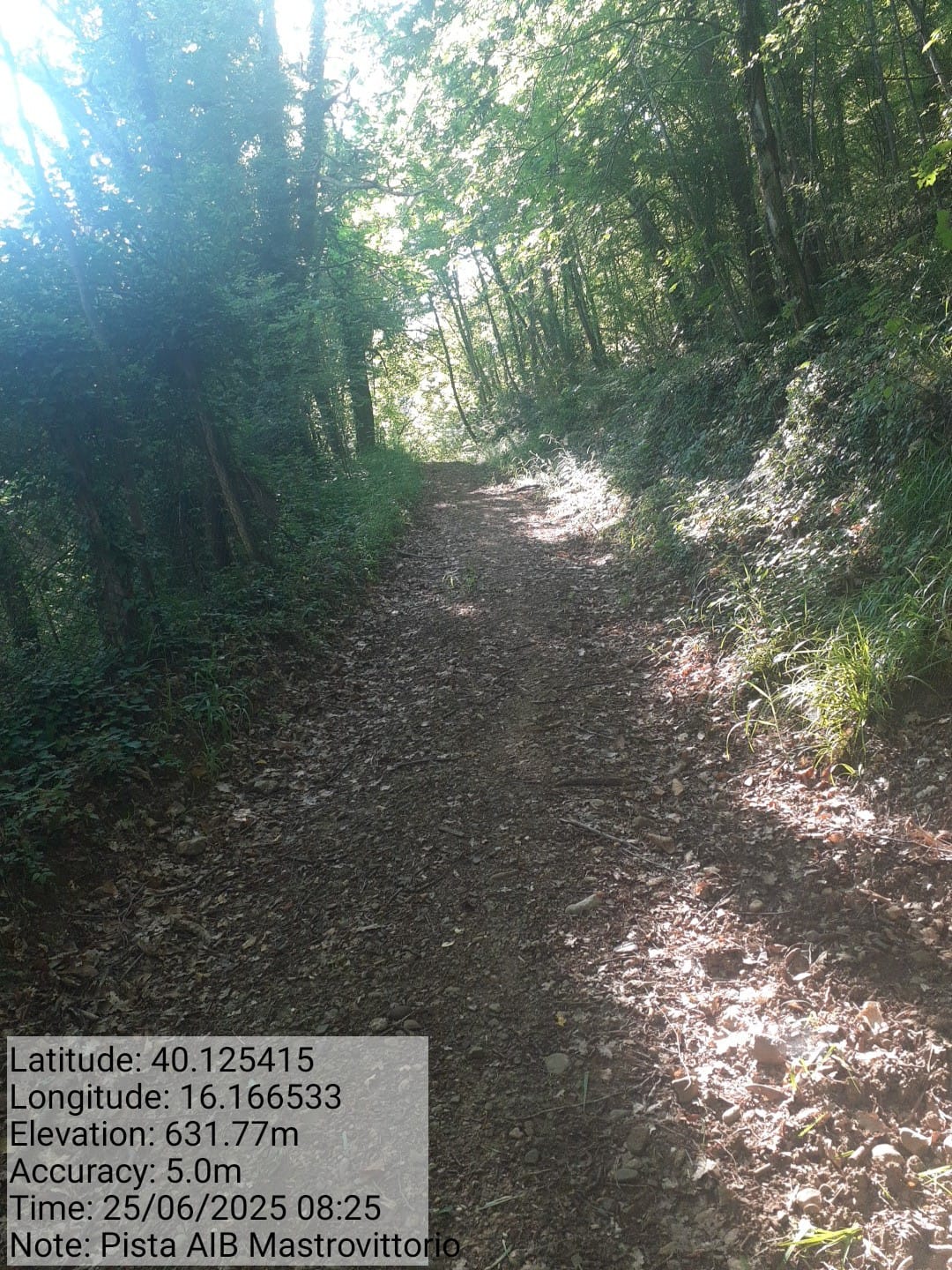 Galleria Fotografica Immagine