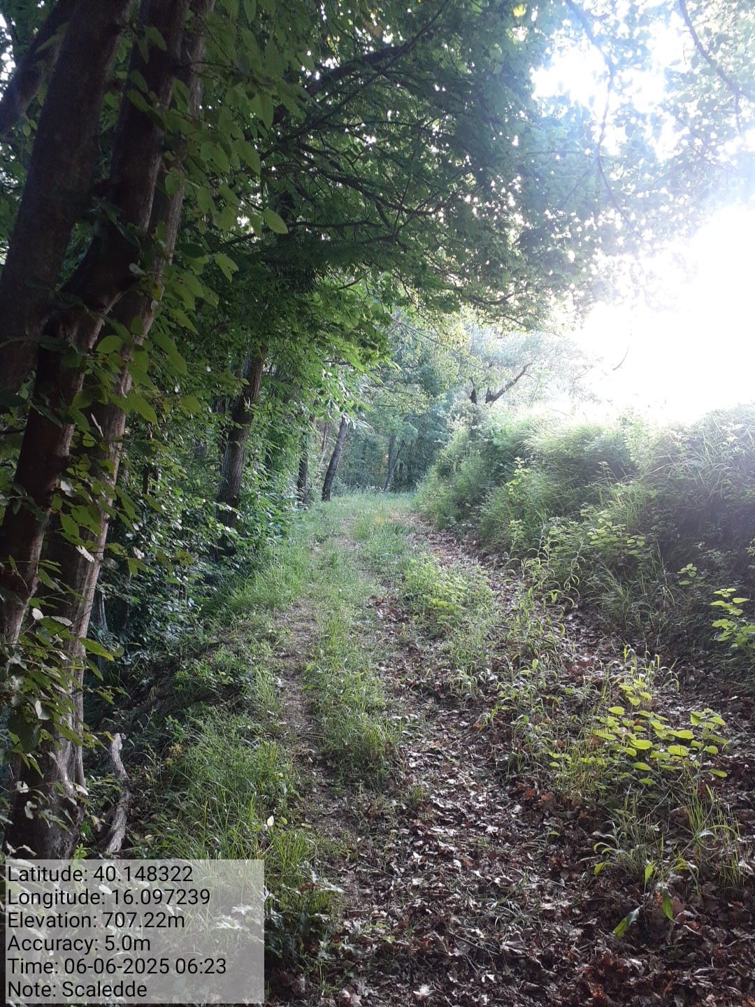 Galleria Fotografica Immagine