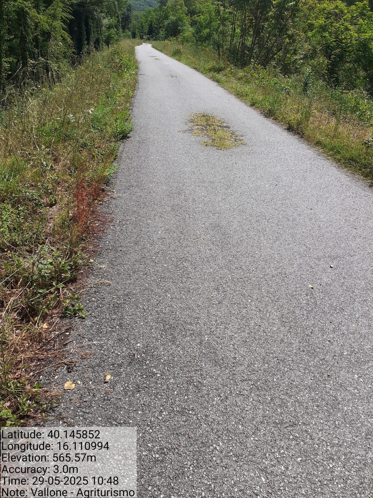 Galleria Fotografica Immagine