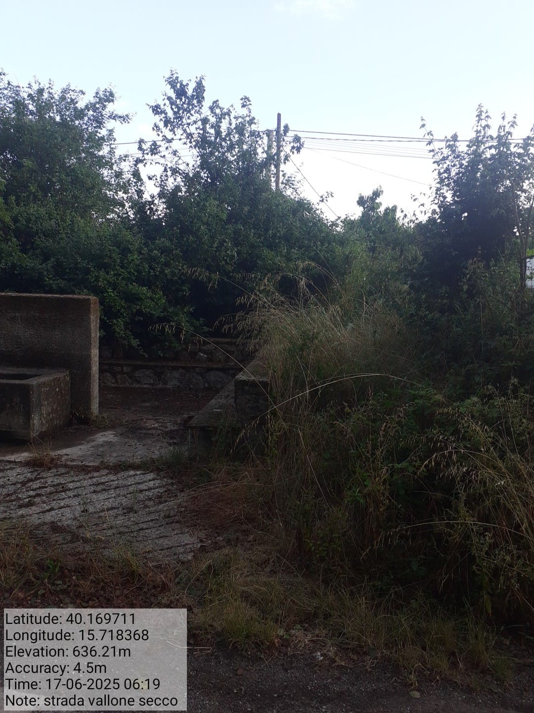 Galleria Fotografica Immagine