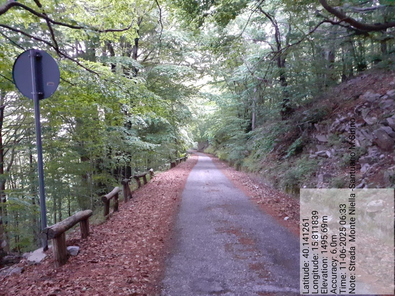 Galleria Fotografica Immagine