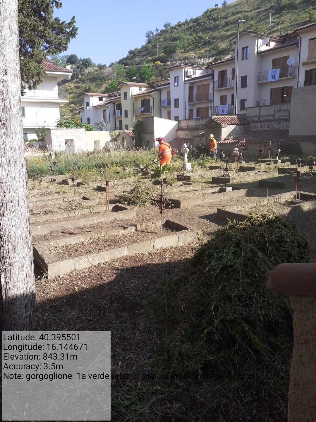 Galleria Fotografica Immagine