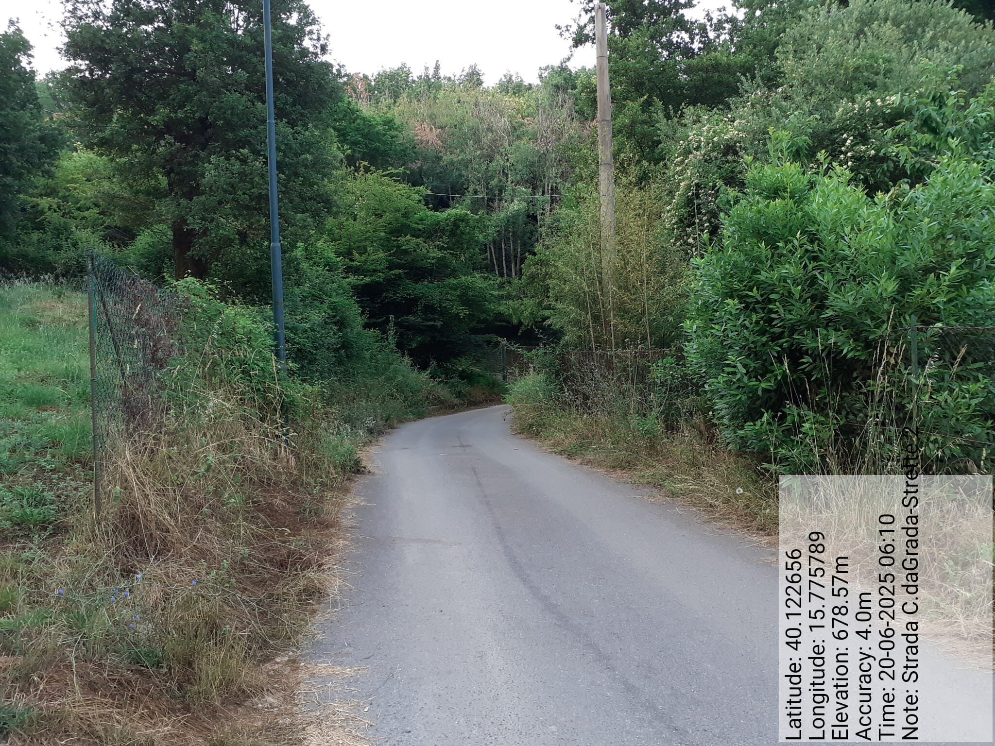 Galleria Fotografica Immagine