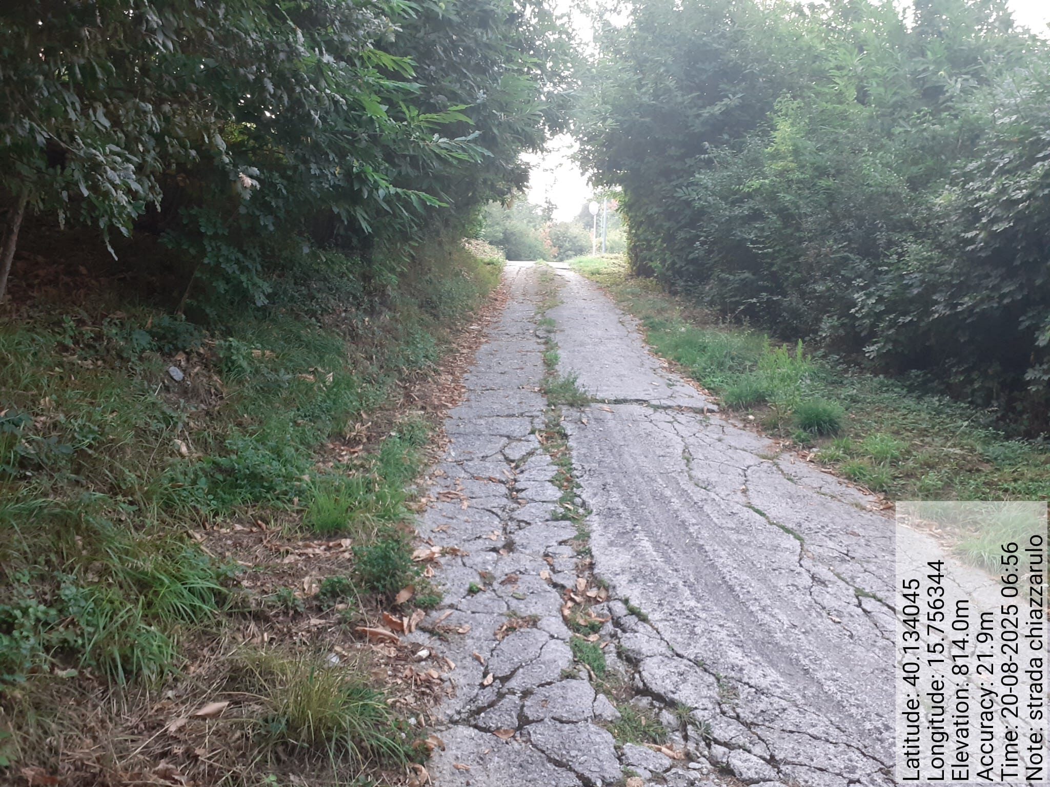 Galleria Fotografica Immagine