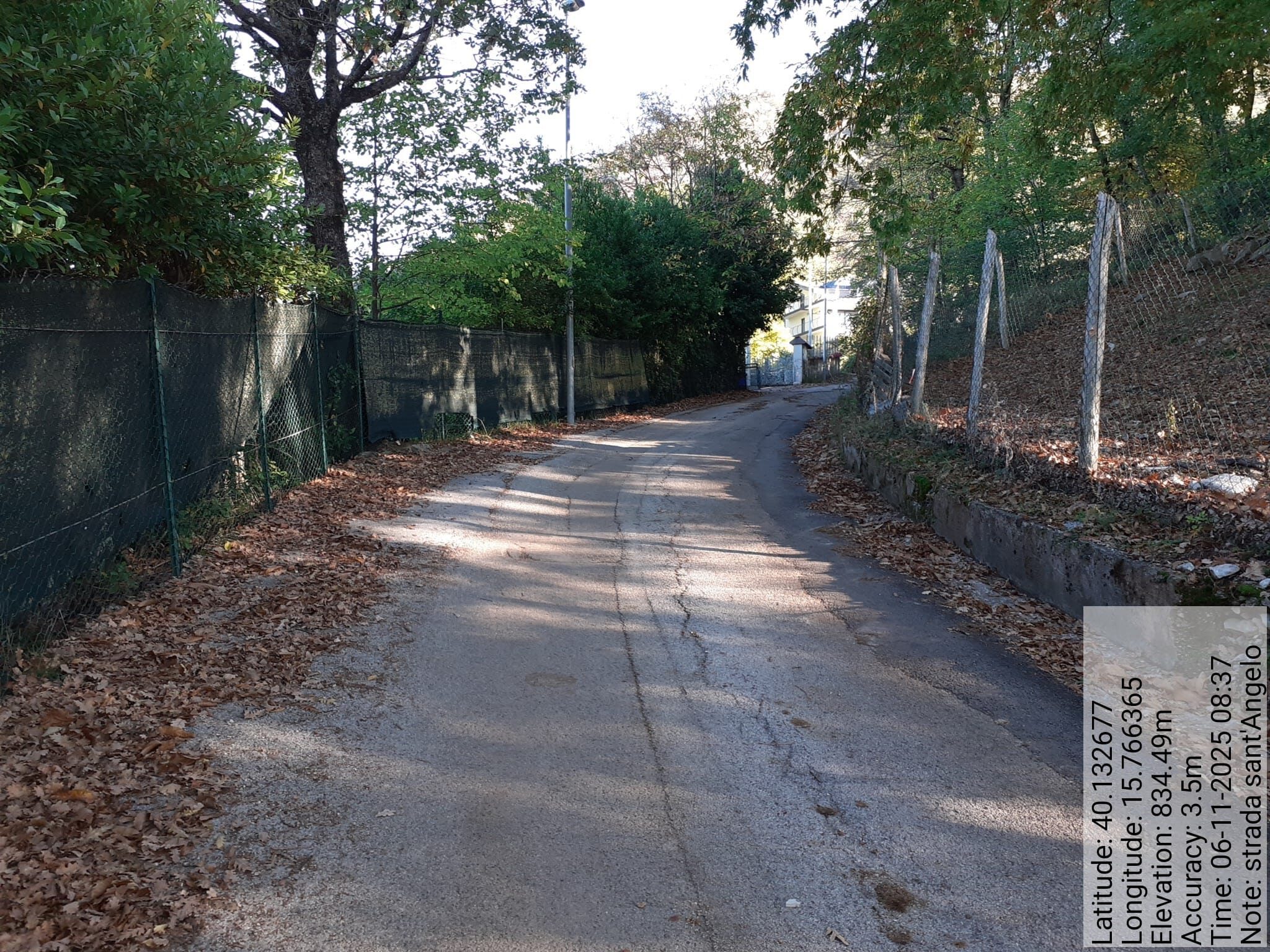 Galleria Fotografica Immagine