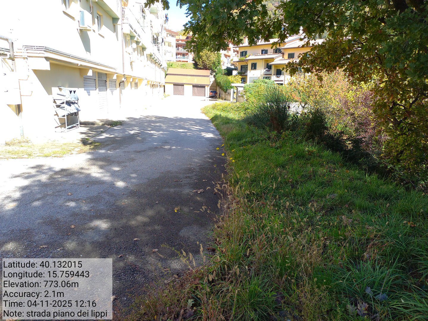 Galleria Fotografica Immagine