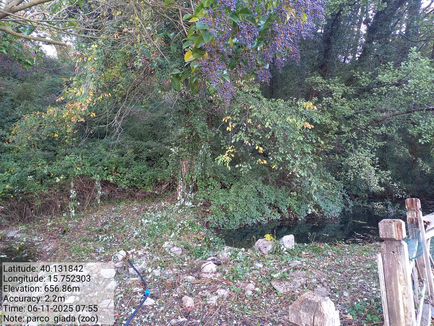 Galleria Fotografica Immagine