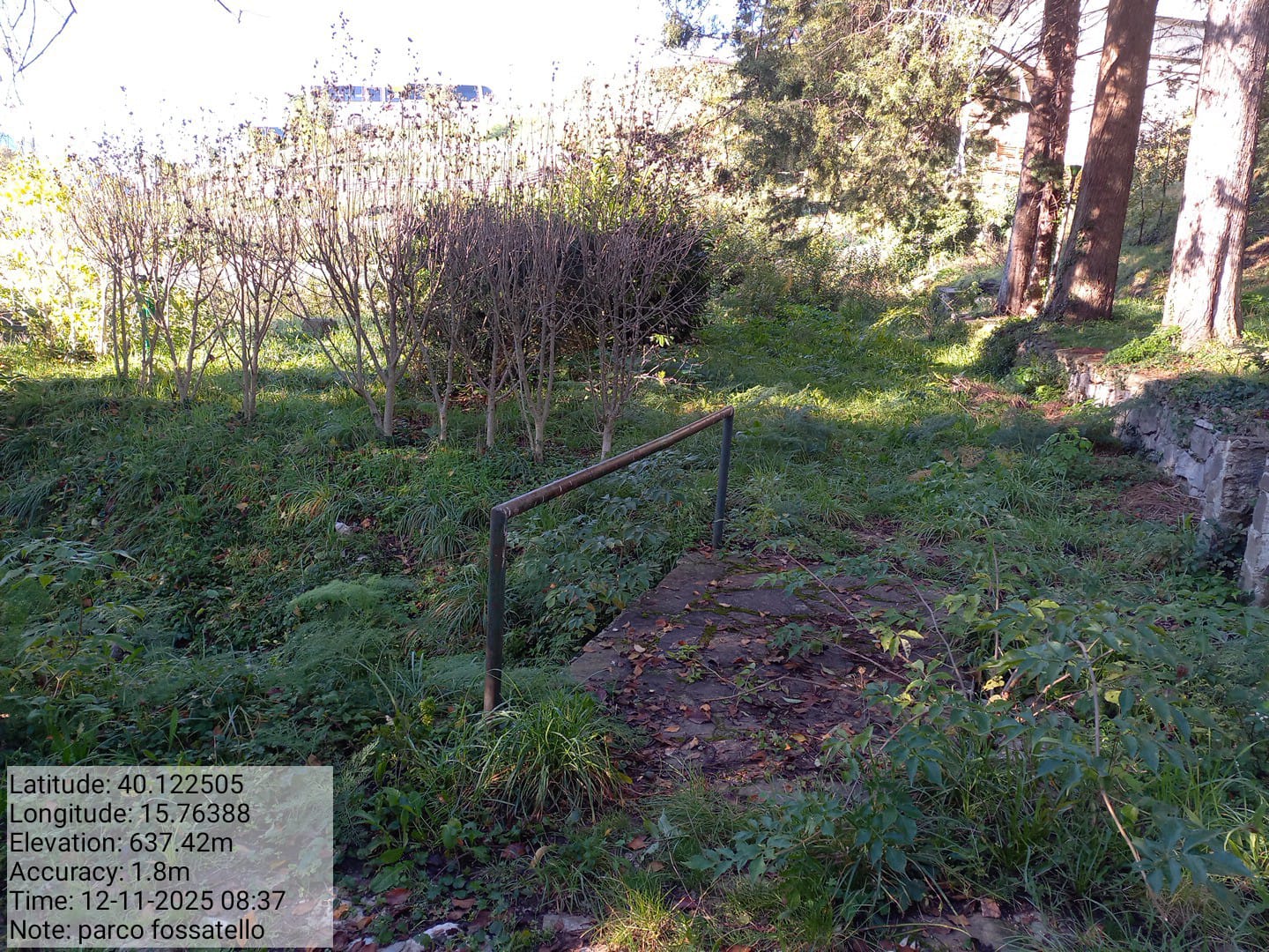 Galleria Fotografica Immagine