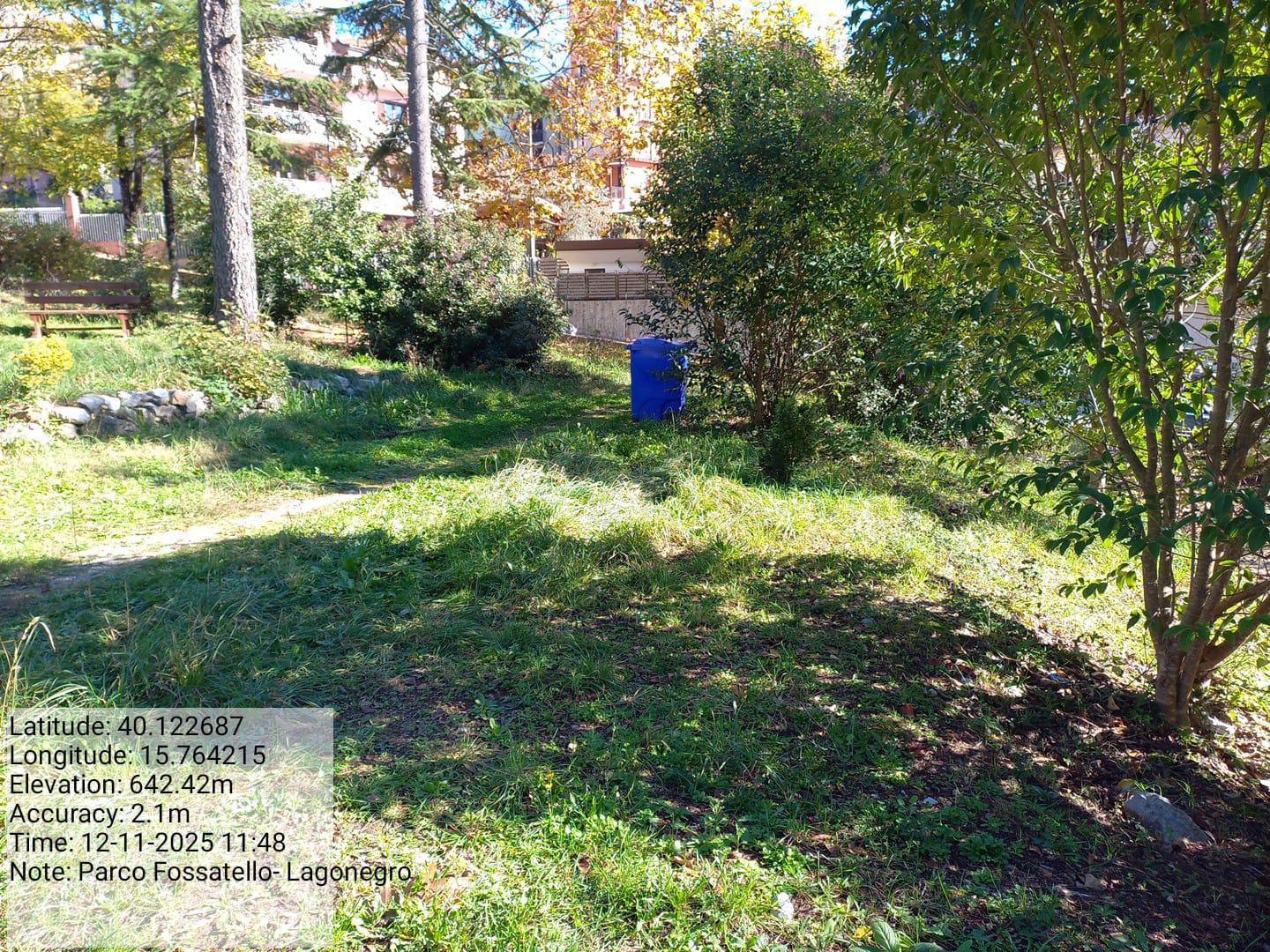 Galleria Fotografica Immagine