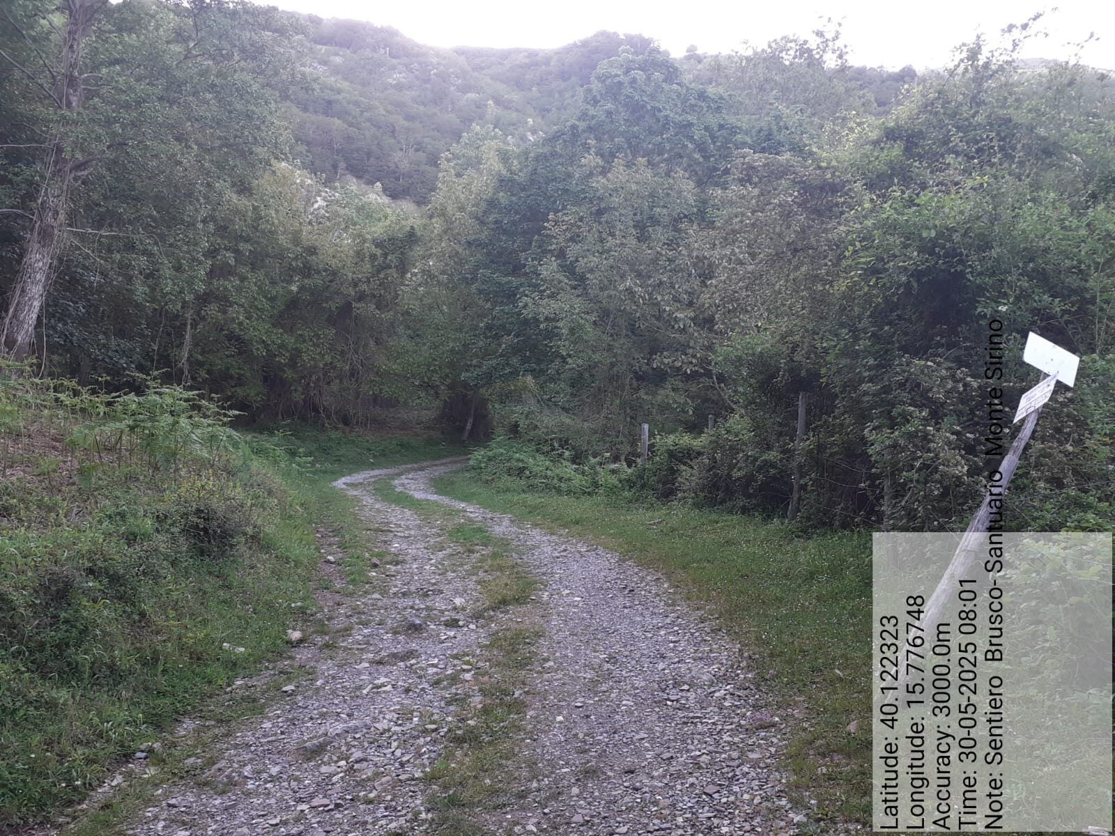 Galleria Fotografica Immagine