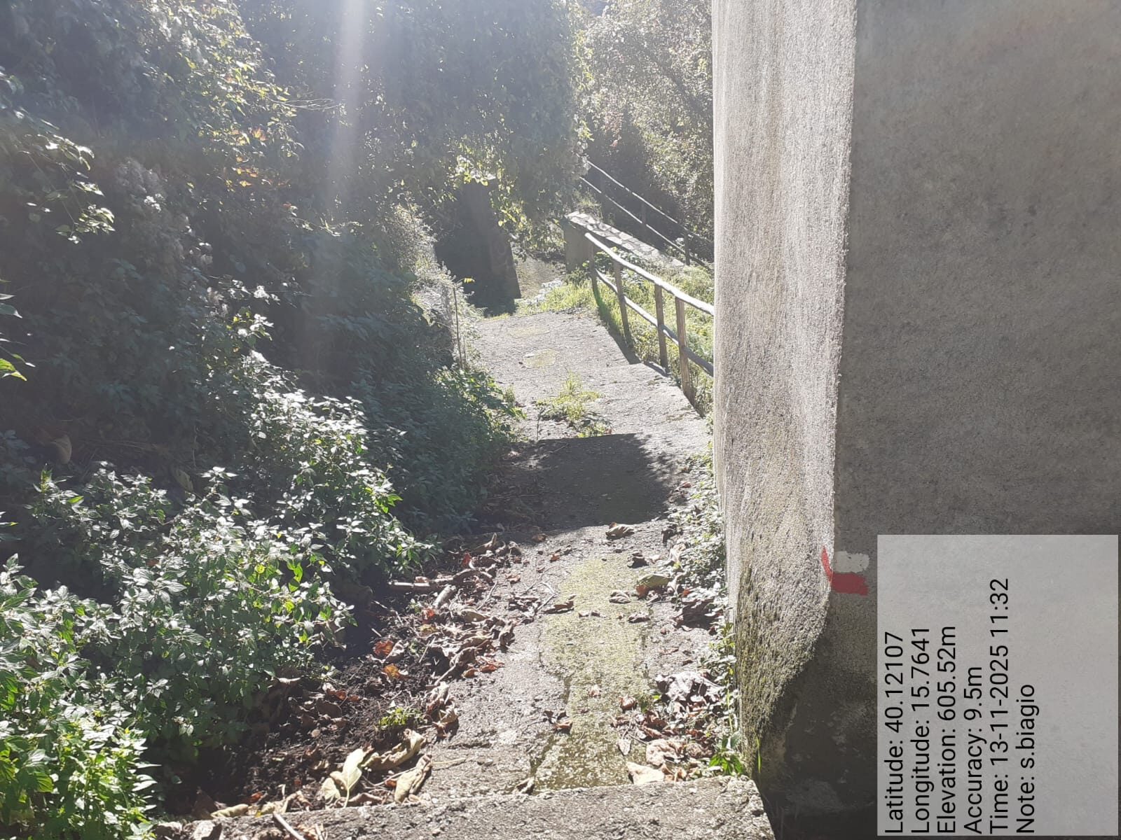 Galleria Fotografica Immagine