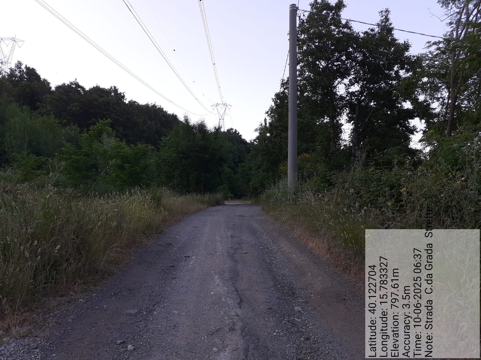 Galleria Fotografica Immagine