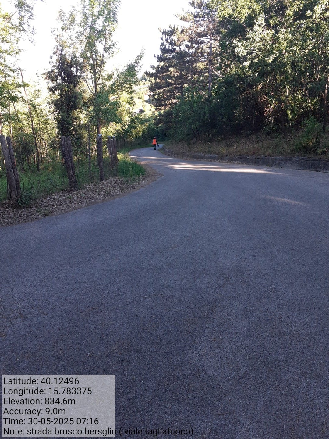 Galleria Fotografica Immagine