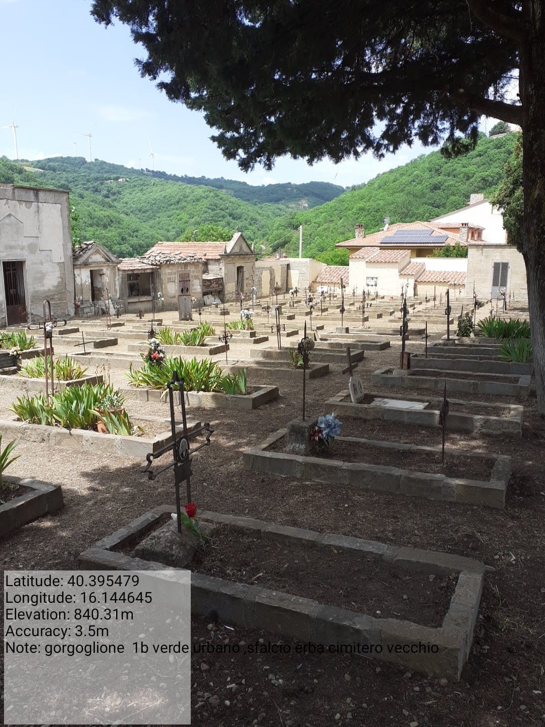 Galleria Fotografica Immagine