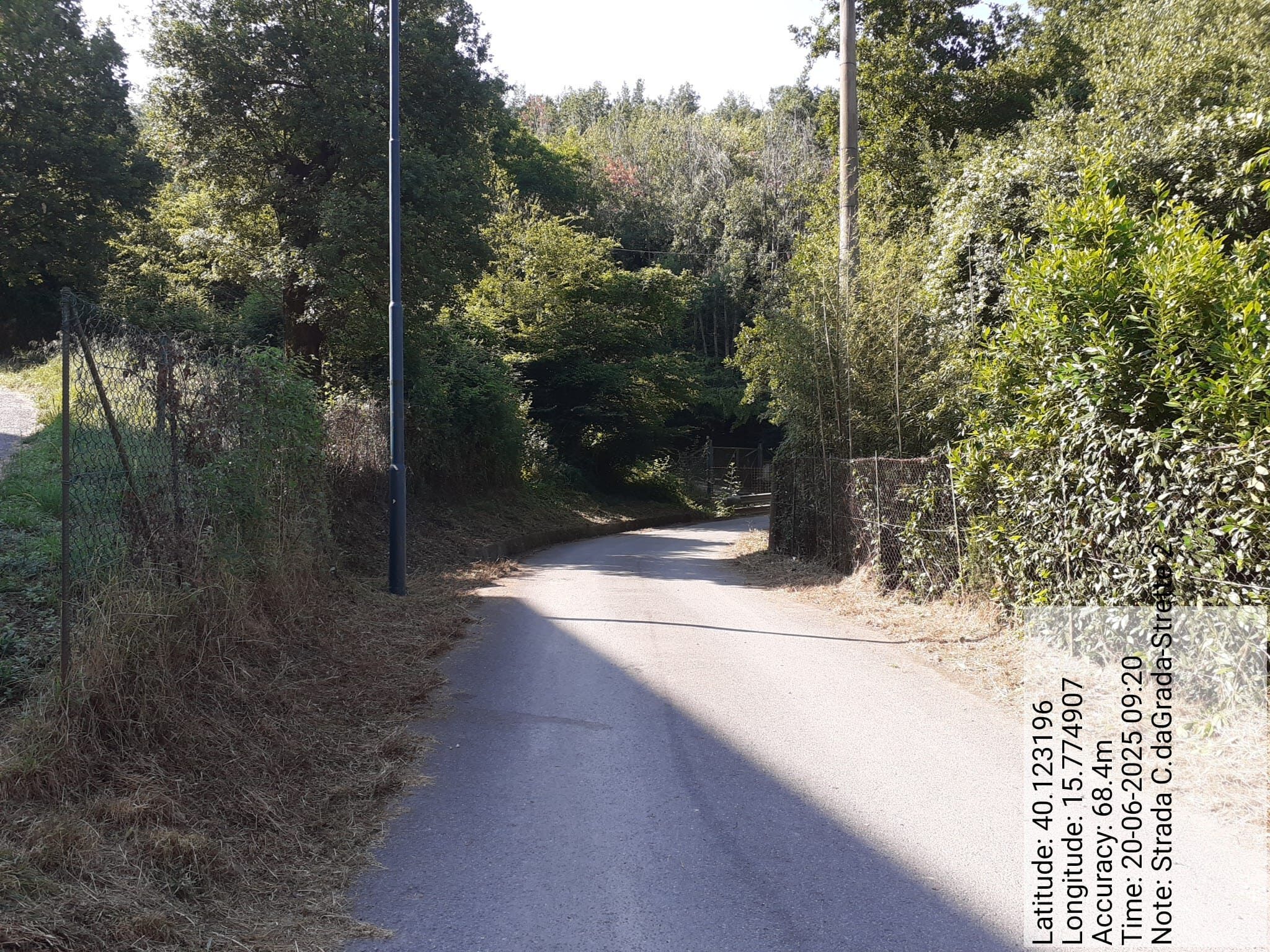 Galleria Fotografica Immagine