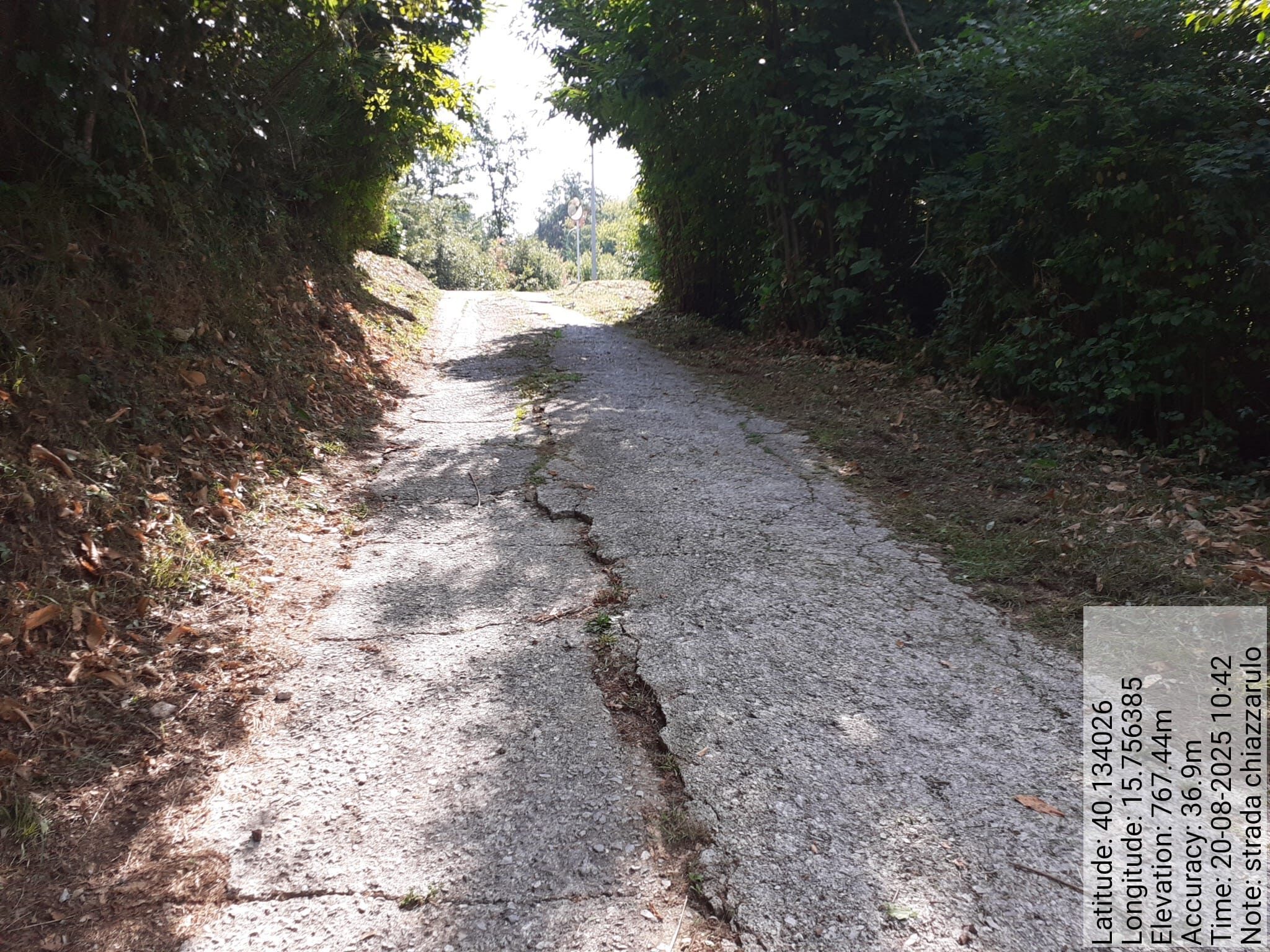 Galleria Fotografica Immagine