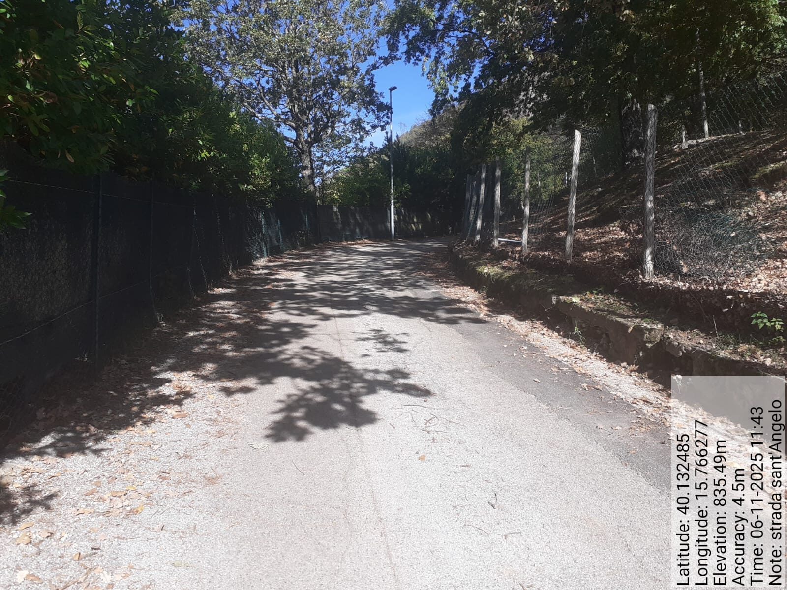 Galleria Fotografica Immagine