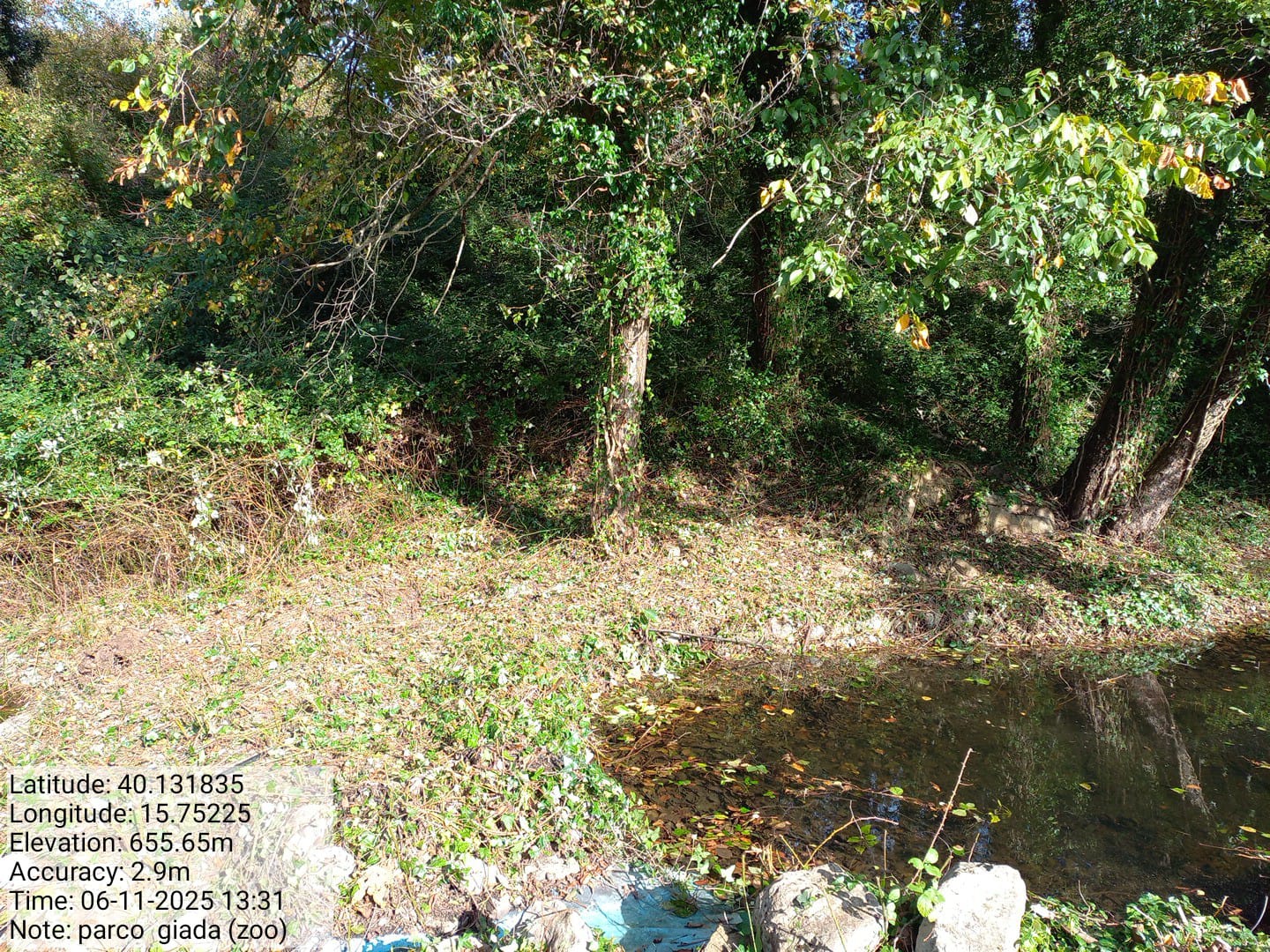 Galleria Fotografica Immagine