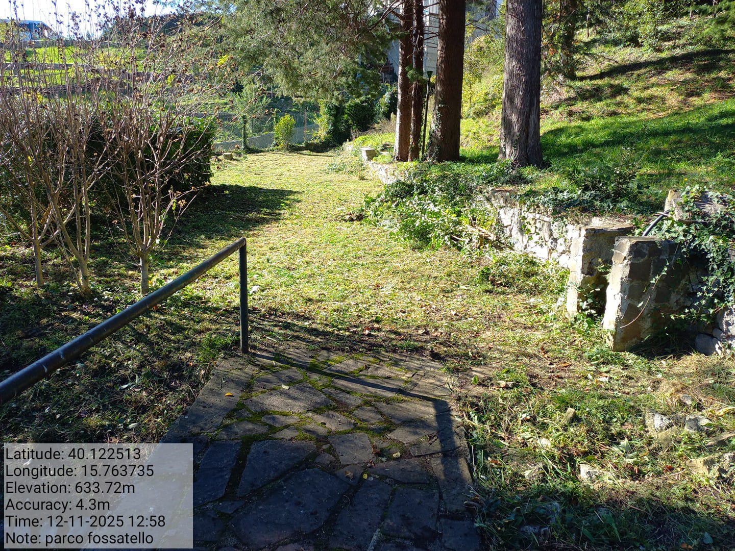 Galleria Fotografica Immagine