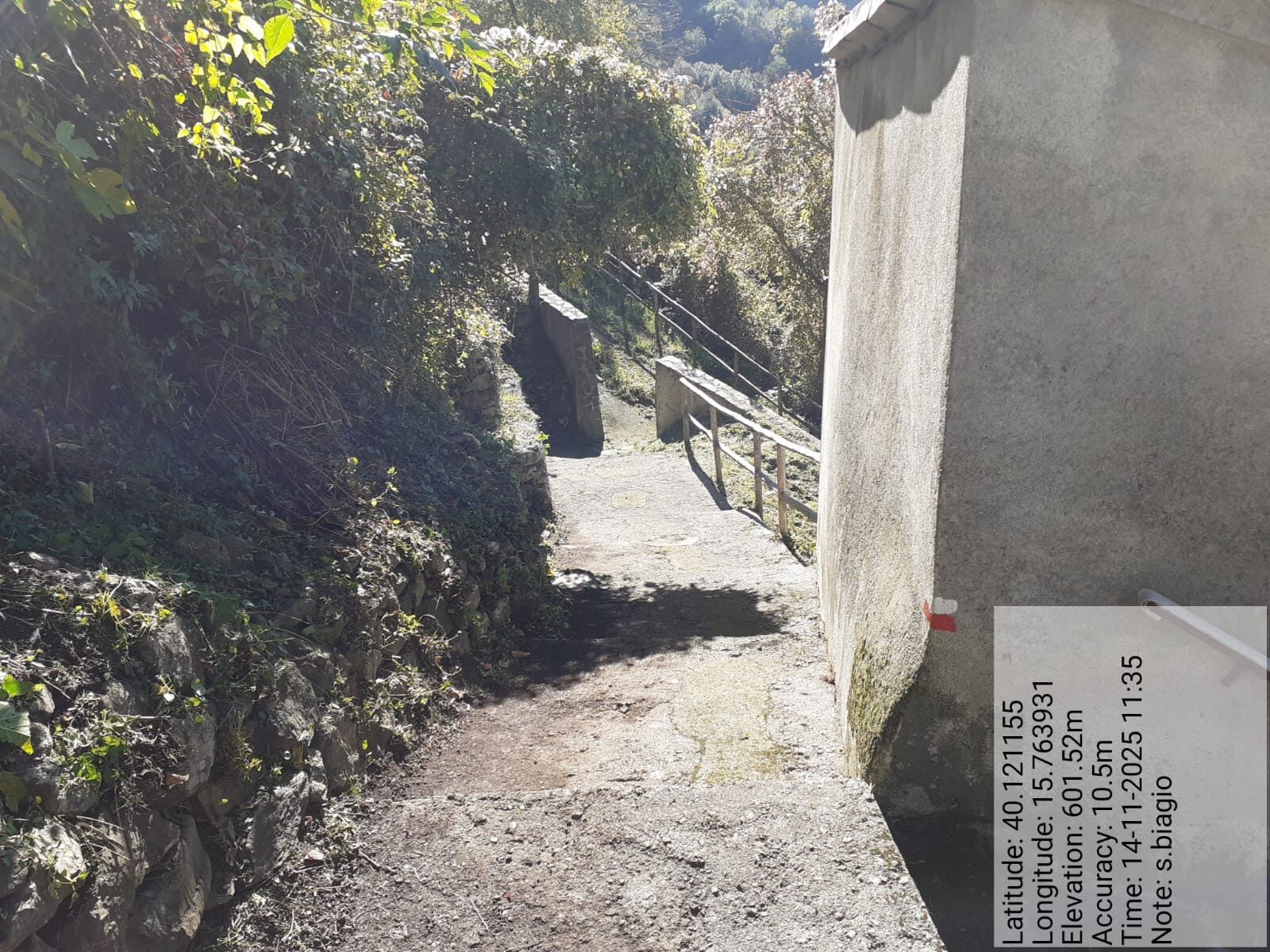 Galleria Fotografica Immagine