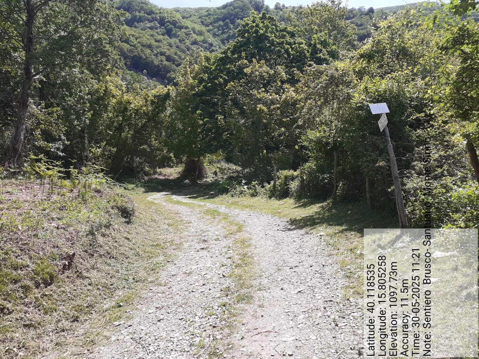 Galleria Fotografica Immagine