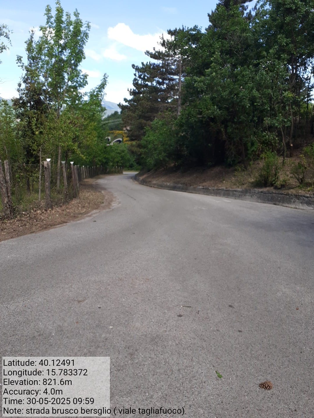 Galleria Fotografica Immagine