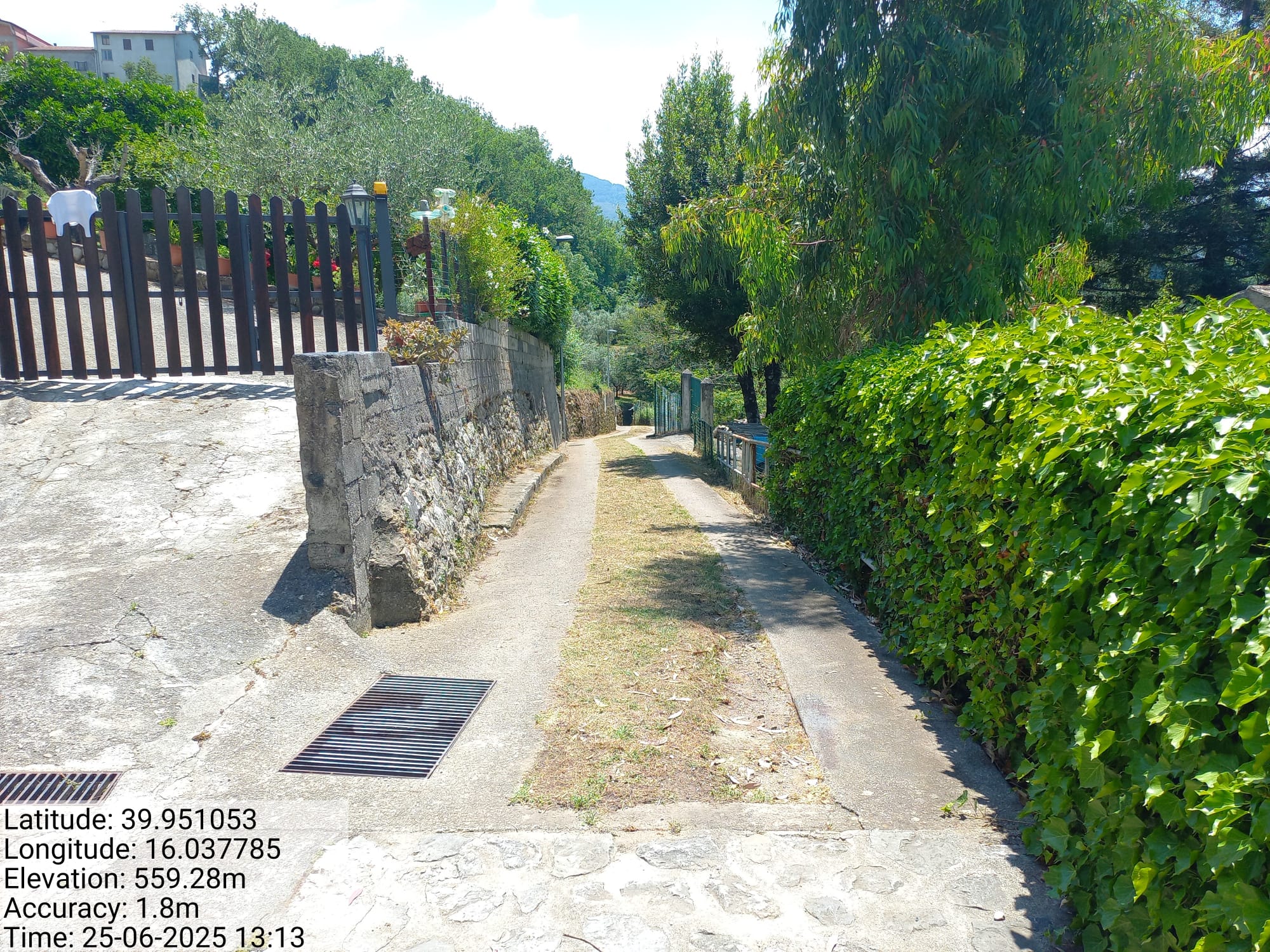 Galleria Fotografica Immagine