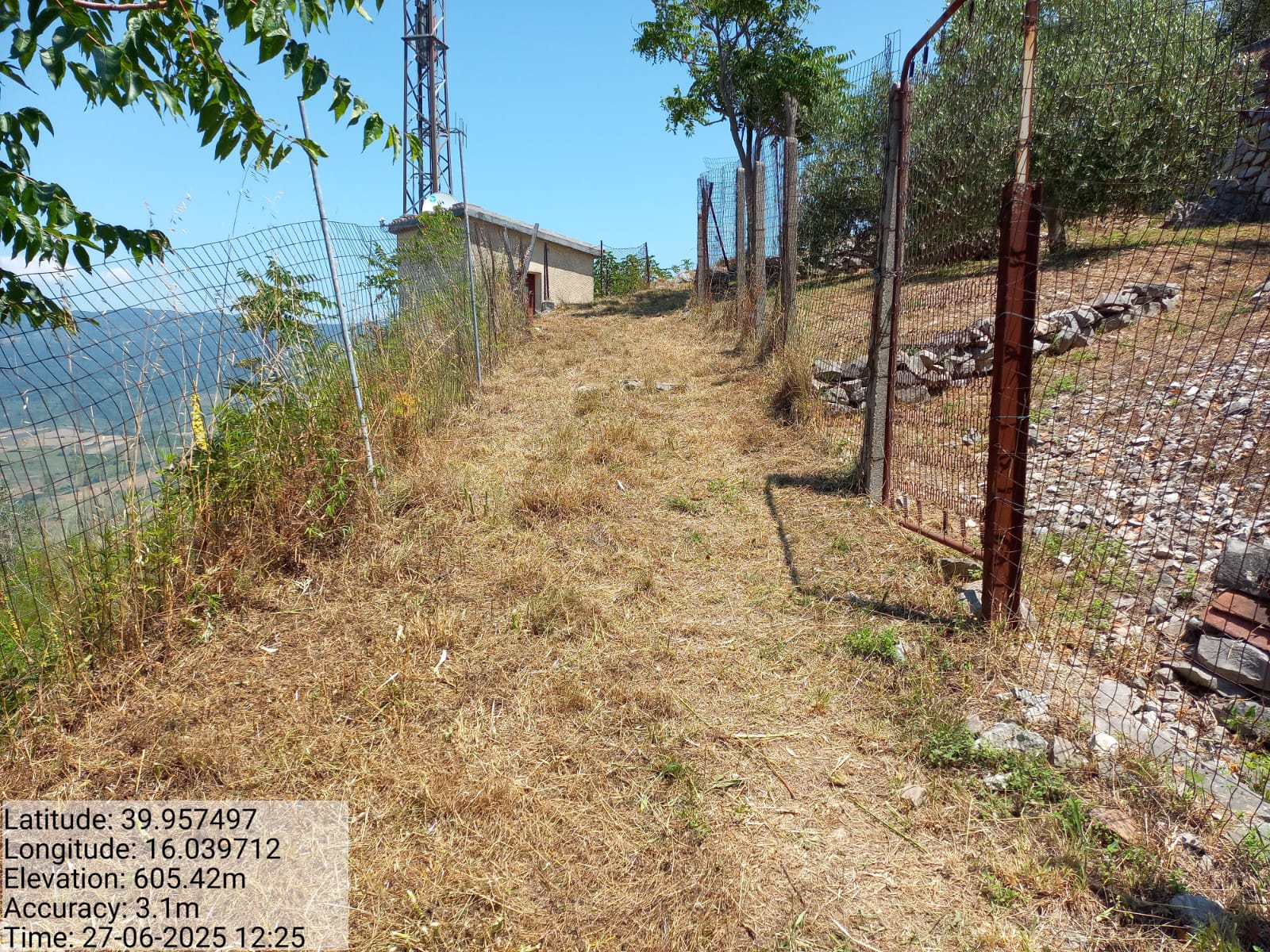 Galleria Fotografica Immagine