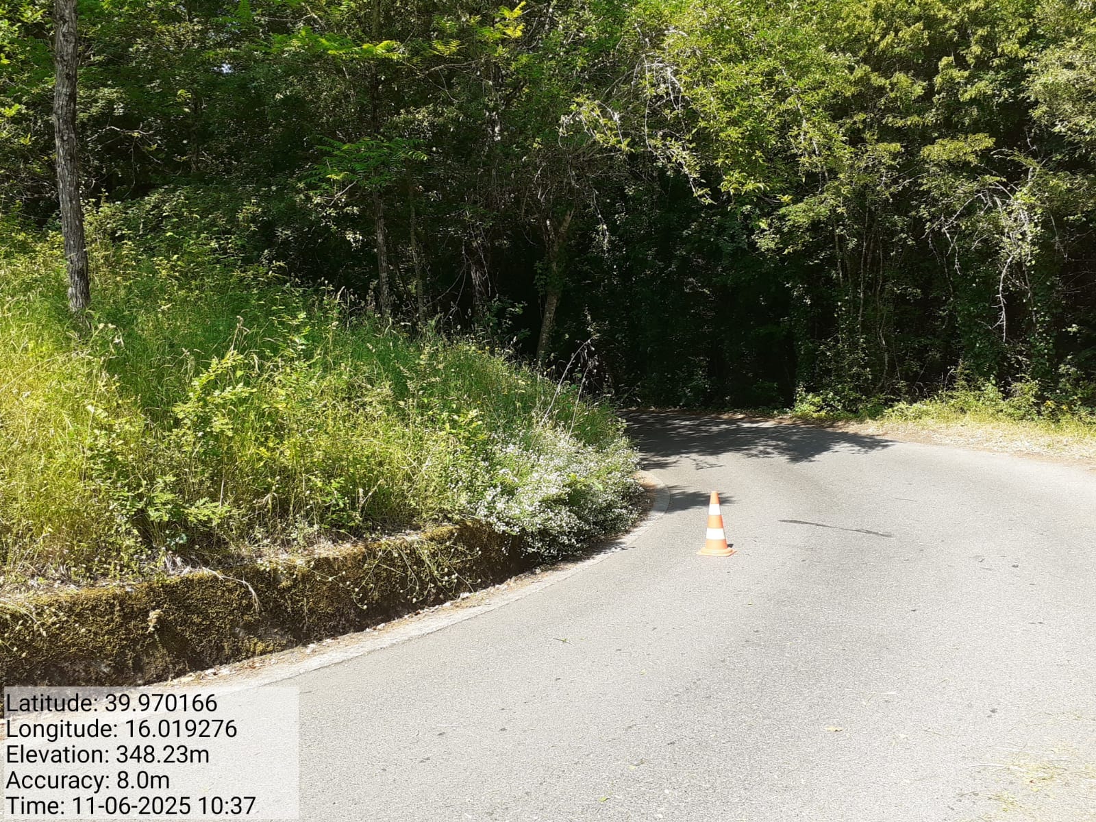 Galleria Fotografica Immagine