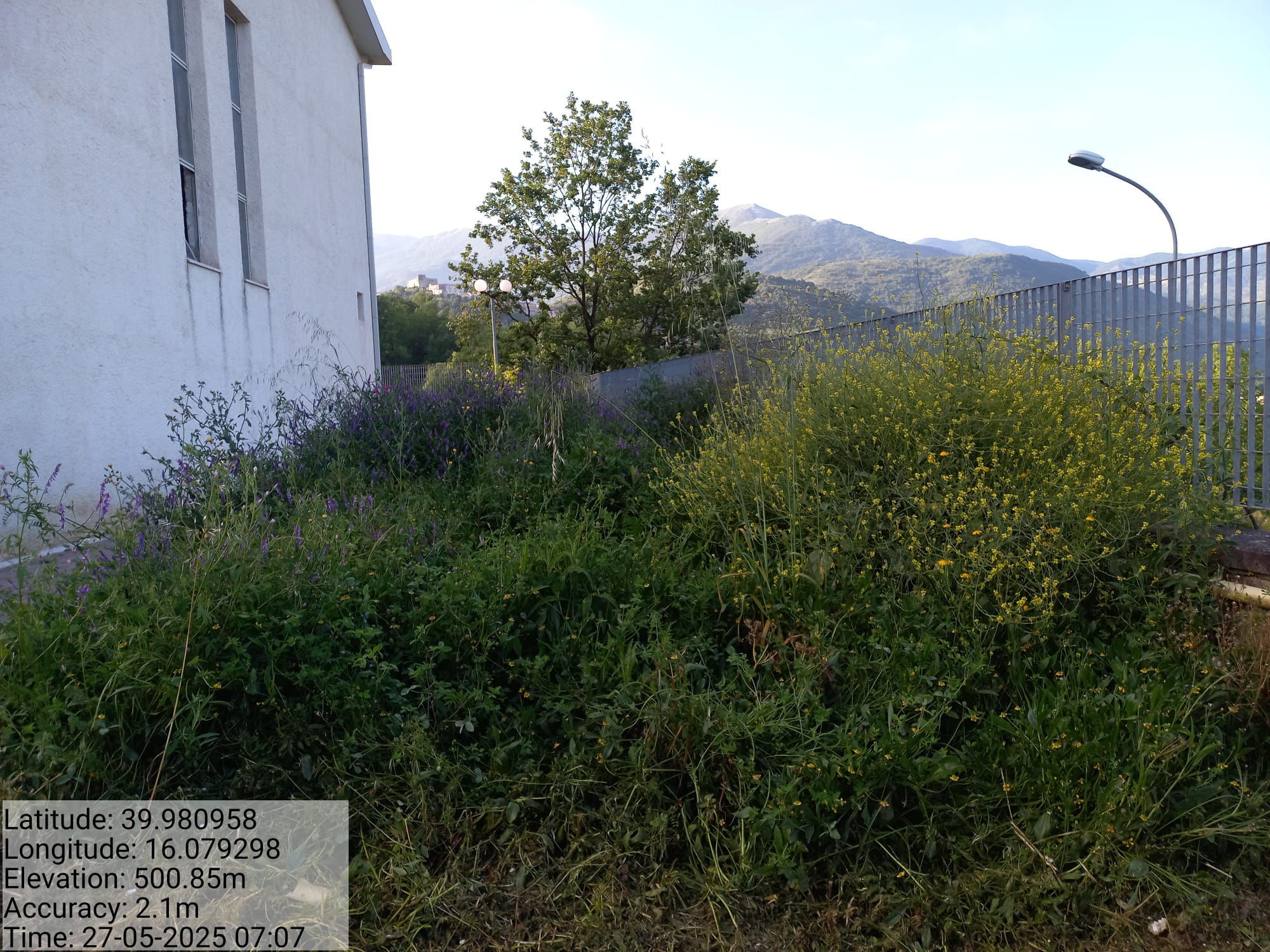 Galleria Fotografica Immagine