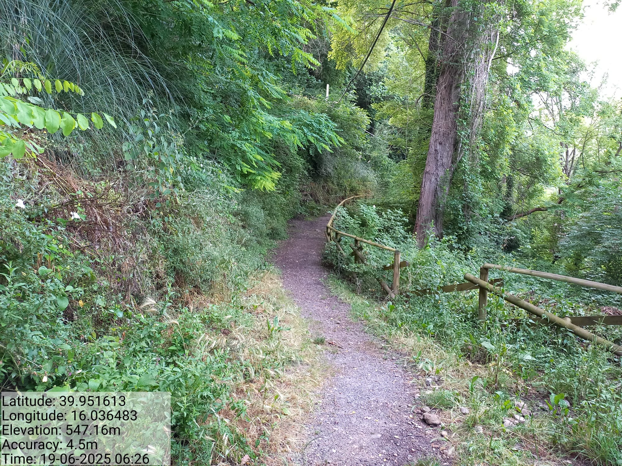 Galleria Fotografica Immagine