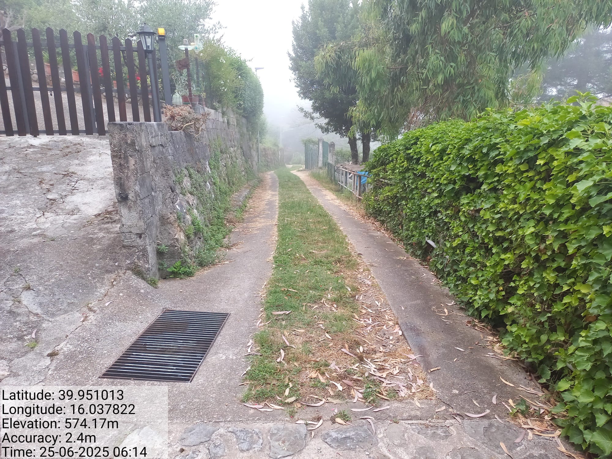 Galleria Fotografica Immagine