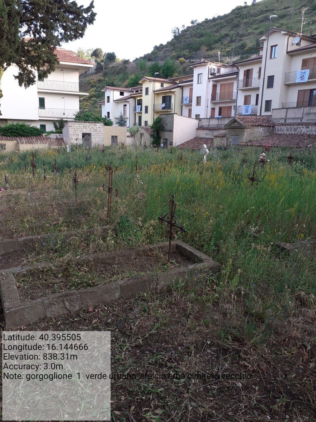 Galleria Fotografica Immagine