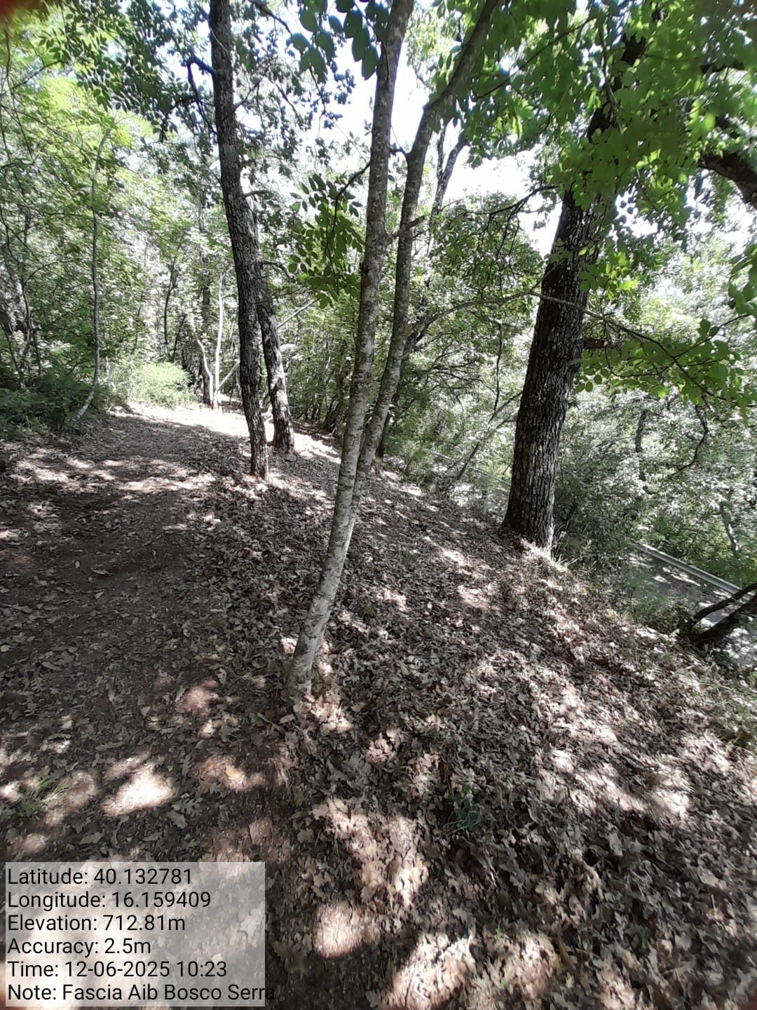 Galleria Fotografica Immagine