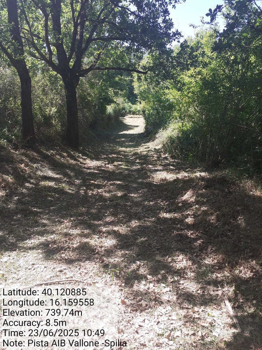 Galleria Fotografica Immagine