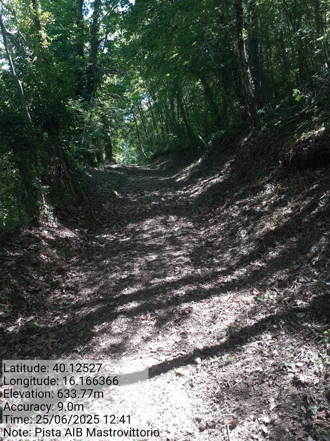 Galleria Fotografica Immagine